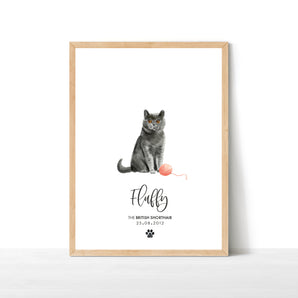 Cat Pet Portrait Print